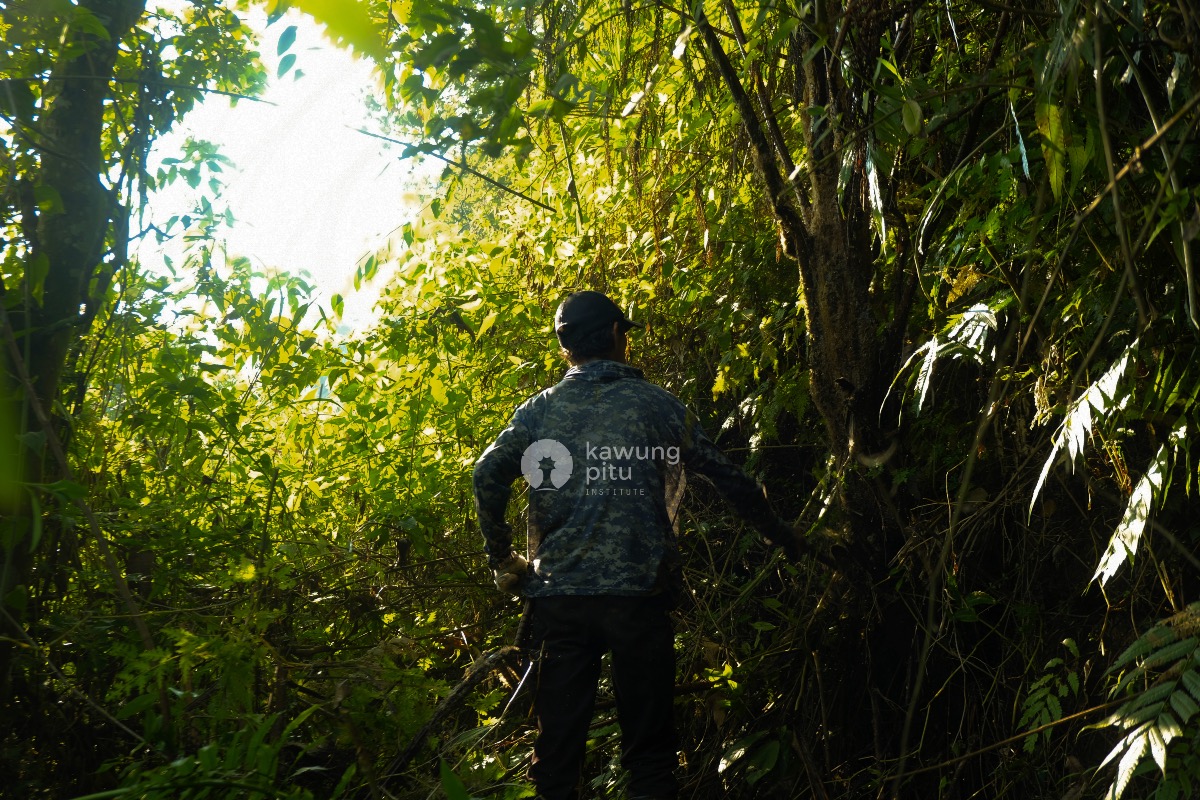 Pembersihan jalur tanam