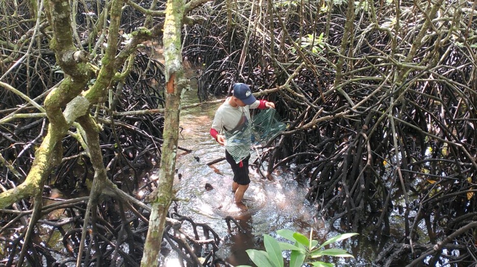 Kisah Kepiting dan Pola Pikir Yang Berubah